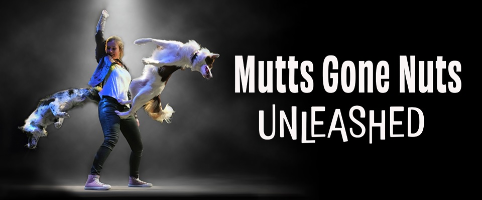 Mutts Gone Nuts 2026